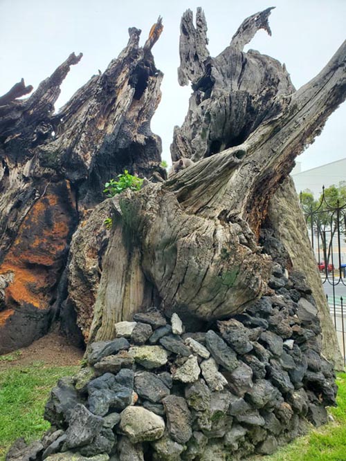 Plaza El Árbol de la Noche Triste/Plaza de la Noche Victoriosa, Calzada México-Tacuba, Popotla, Mexico City/Ciudad de México, Mexico, August 27, 2021