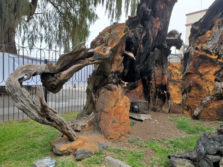 Plaza El Árbol de la Noche Triste/Plaza de la Noche Victoriosa, Calzada México-Tacuba, Popotla, Mexico City/Ciudad de México, Mexico, August 27, 2021