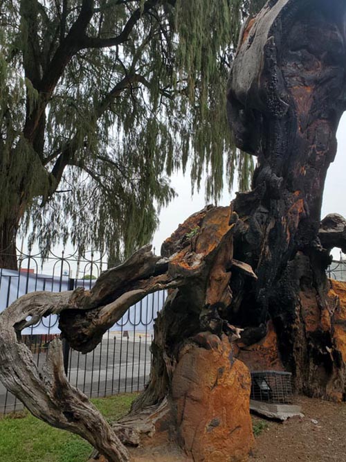 Plaza El Árbol de la Noche Triste/Plaza de la Noche Victoriosa, Calzada México-Tacuba, Popotla, Mexico City/Ciudad de México, Mexico, August 27, 2021
