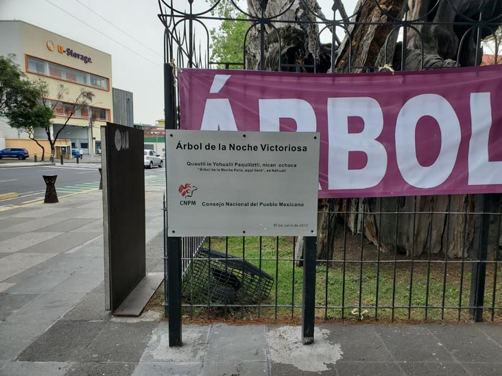 Plaza El Árbol de la Noche Triste/Plaza de la Noche Victoriosa, Calzada México-Tacuba, Popotla, Mexico City/Ciudad de México, Mexico, August 27, 2021