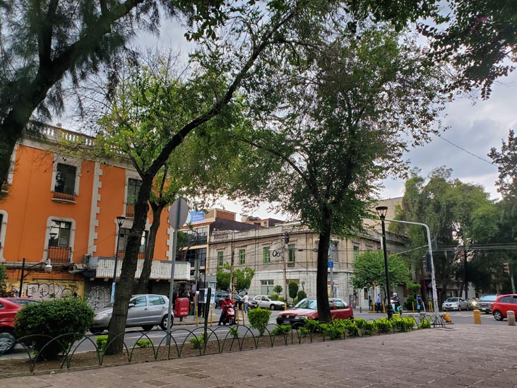 Avenida Álvaro Obregón, Colonia Roma, Mexico City/Ciudad de México, Mexico, August 26, 2021