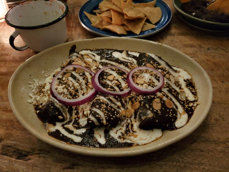 Cabrera 7, Plaza Luis Cabrera 7, Roma, Mexico City/Ciudad de México, Mexico, August 16, 2021