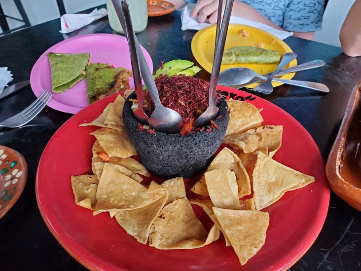 Ceviche Saltarín de Chapulines Oaxaqueñaos, Doña Vero, Avenida Monterrey 313, Roma Sur, Mexico City/Ciudad de México, Mexico, August 8, 2021