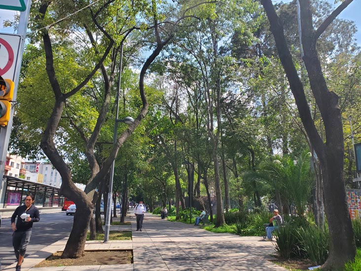 Jardín Pushkin, Colonia Roma, Mexico City/Ciudad de México, Mexico, August 9, 2021