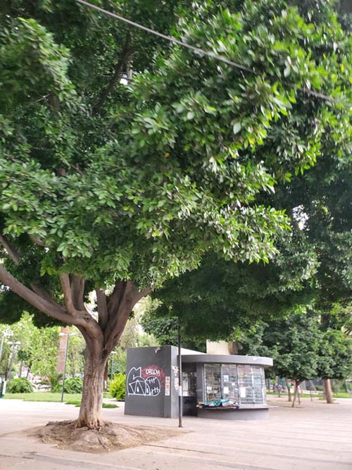 Jardín Pushkin, Colonia Roma, Mexico City/Ciudad de México, Mexico, August 26, 2021