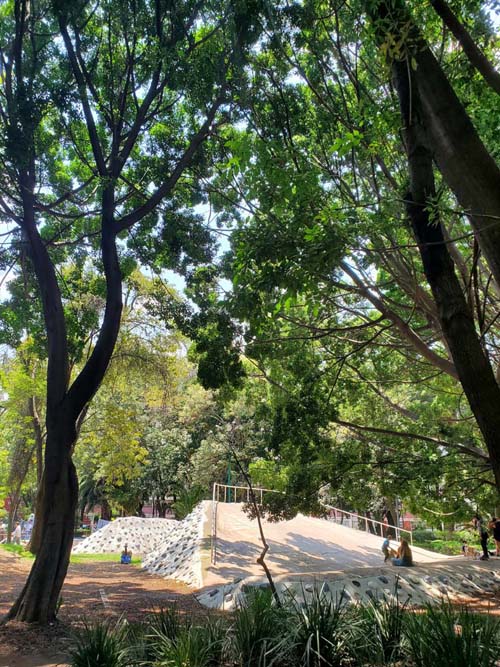 Jardín Ramón López Velarde, Colonia Roma, Mexico City/Ciudad de México, Mexico, September 2, 2023