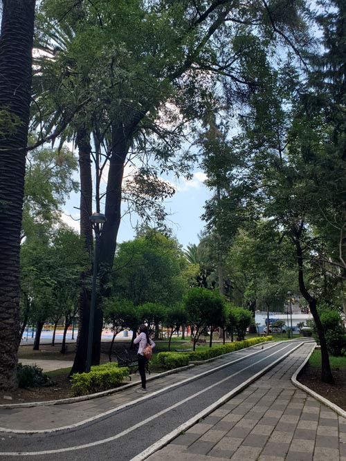Bike Path, Jardín Ramón López Velarde, Colonia Roma, Mexico City/Ciudad de México, Mexico, September 2, 2023