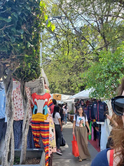 Vendors Along Avenida Cuauhtémoc Outside Jardín Ramón López Velarde, Colonia Roma, Mexico City/Ciudad de México, Mexico, September 2, 2023