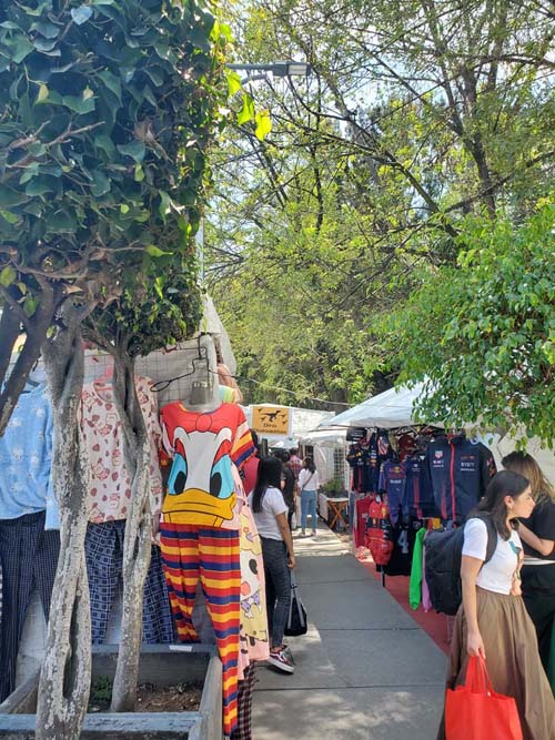 Vendors Along Avenida Cuauhtémoc Outside Jardín Ramón López Velarde, Colonia Roma, Mexico City/Ciudad de México, Mexico, September 2, 2023