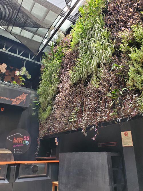 Mercado Roma, Calle Querétaro 225, Roma, Mexico City/Ciudad de México, Mexico, August 22, 2021