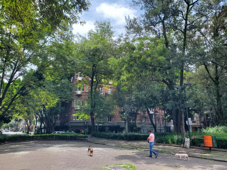 Plaza Rio de Janeiro, Colonia Roma, Mexico City/Ciudad de México, Mexico, August 22, 2021