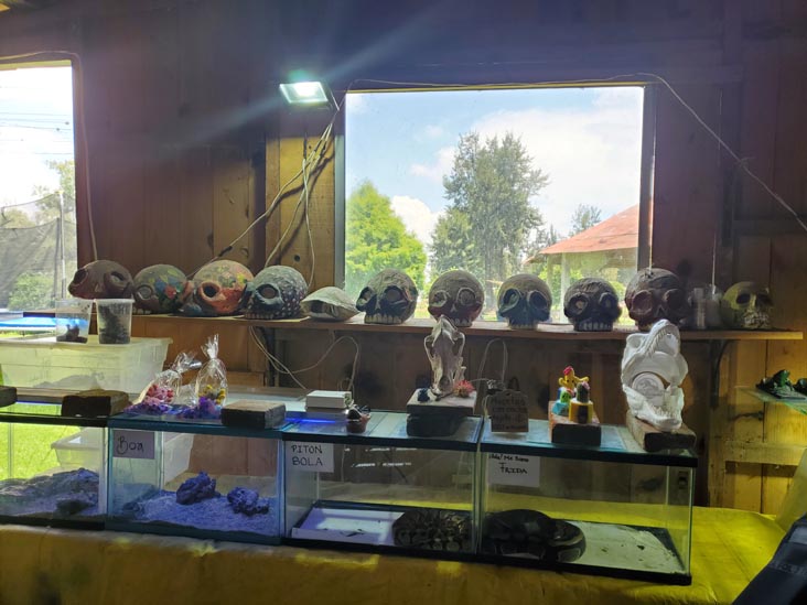 Sal&oacute;n de Exhibici&oacute;n del Axolotl, Xochimilco, Mexico City/Ciudad de M&eacute;xico, Mexico, August 23, 2021