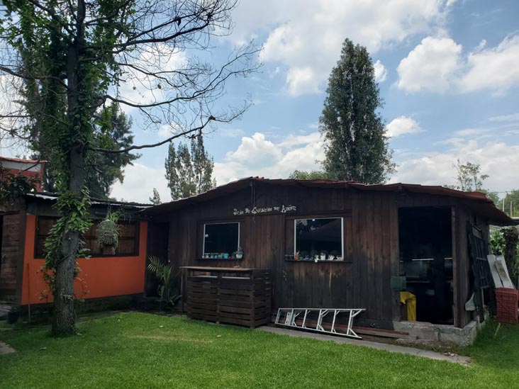 Sal&oacute;n de Exhibici&oacute;n del Axolotl, Xochimilco, Mexico City/Ciudad de M&eacute;xico, Mexico, August 23, 2021