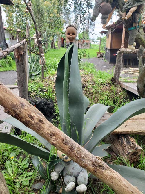 La Isla de las Mu&ntilde;ecas, Xochimilco, Mexico City/Ciudad de M&eacute;xico, Mexico, August 23, 2021
