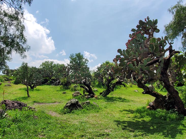 Centro Ceremonial Huehueteotl, Teotihuacán, Estado de México, Mexico, August 18, 2021