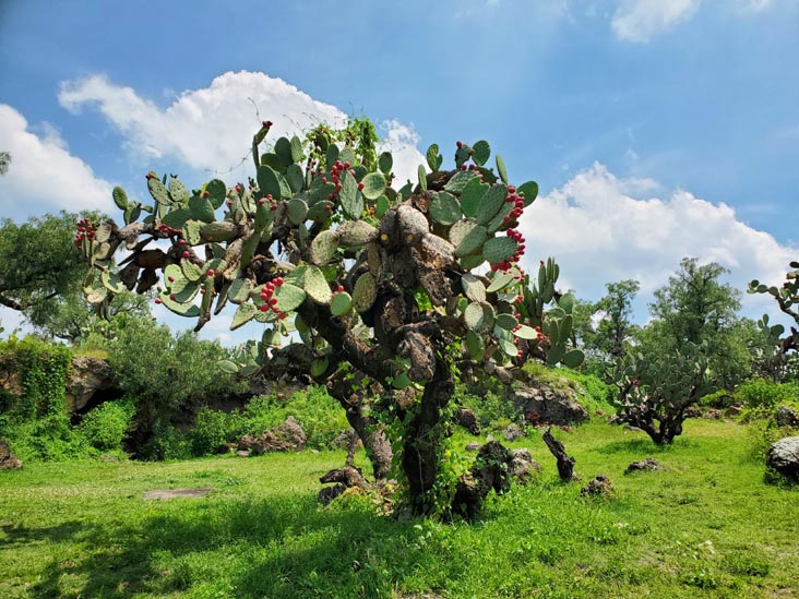 Centro Ceremonial Huehueteotl, Teotihuacán, Estado de México, Mexico, August 18, 2021