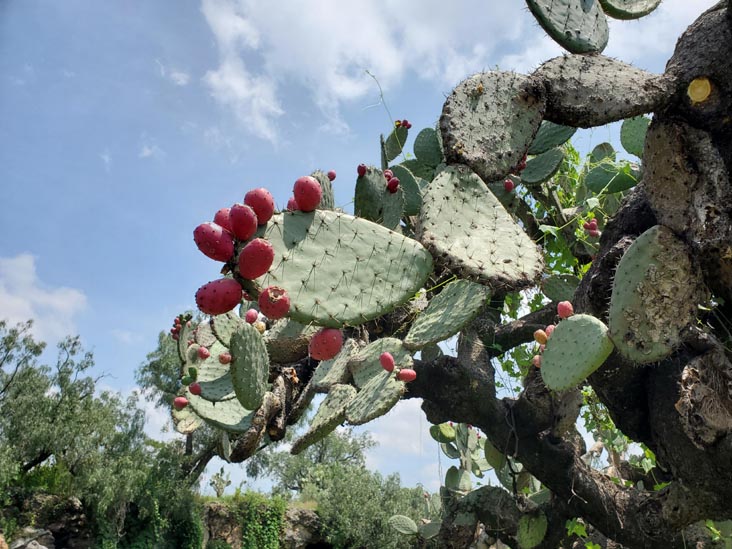 Centro Ceremonial Huehueteotl, Teotihuacán, Estado de México, Mexico, August 18, 2021