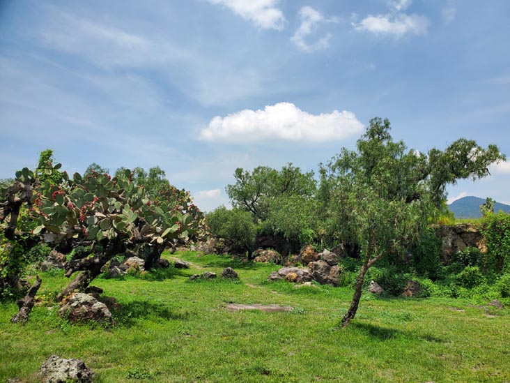 Centro Ceremonial Huehueteotl, Teotihuacán, Estado de México, Mexico, August 18, 2021