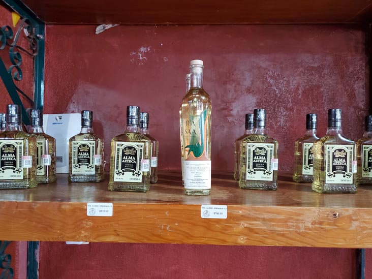 Itz-Yollotzin Teotihuacán, Teotihuacán, Estado de México, Mexico, August 18, 2021