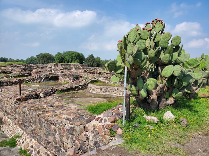 Teotihuacán, Estado de México, Mexico, August 18, 2021