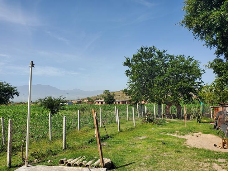 La Rueca, Calle Ignacio Zaragoza 330, Teotitlán del Valle, Oaxaca, México, August 20, 2023