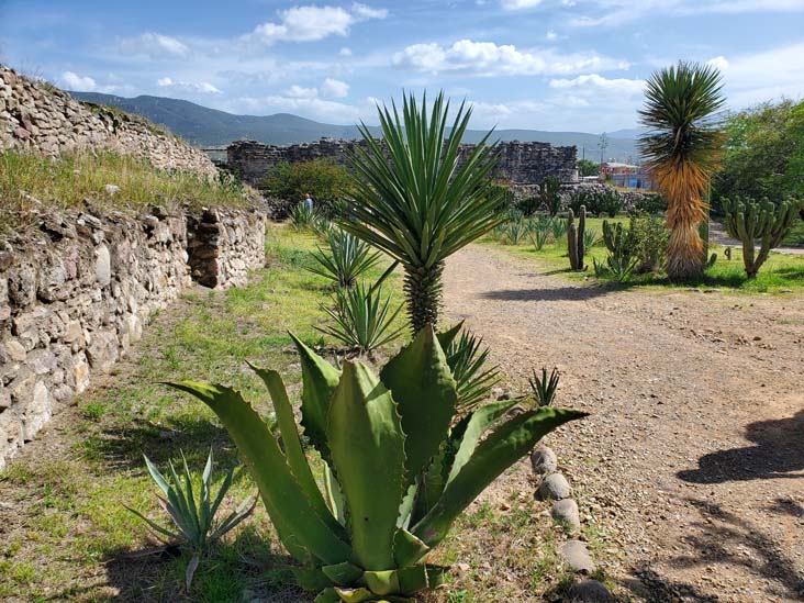 Columns Group, Mitla, San Pablo Villa de Mitla, Oaxaca, México, August 20, 2023