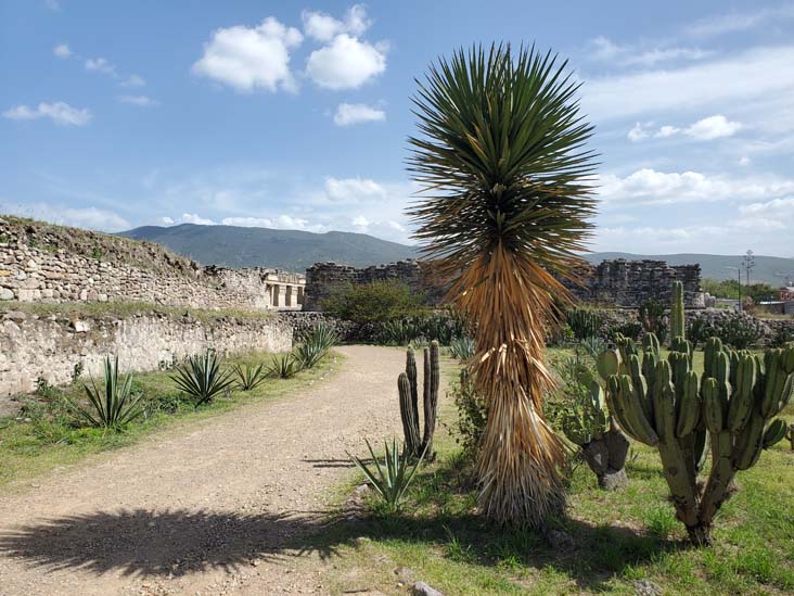 Columns Group, Mitla, San Pablo Villa de Mitla, Oaxaca, México, August 20, 2023