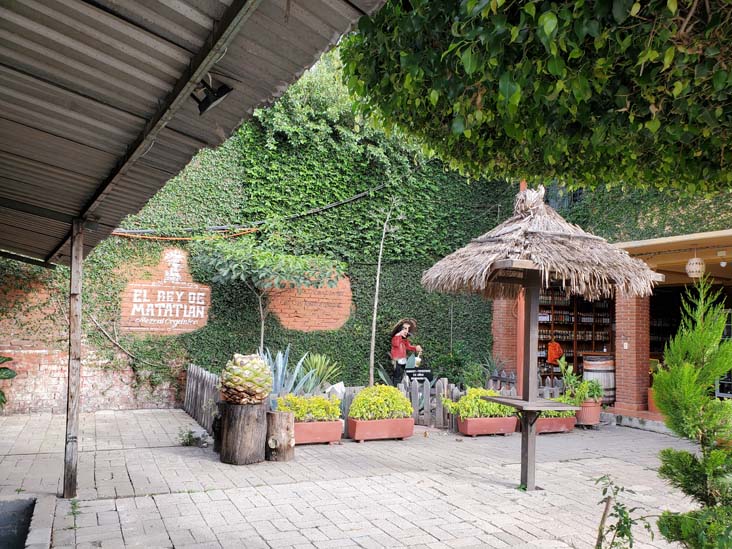 El Rey de Matalán, Tlacolula de Matamoros, Oaxaca, México, August 20, 2023