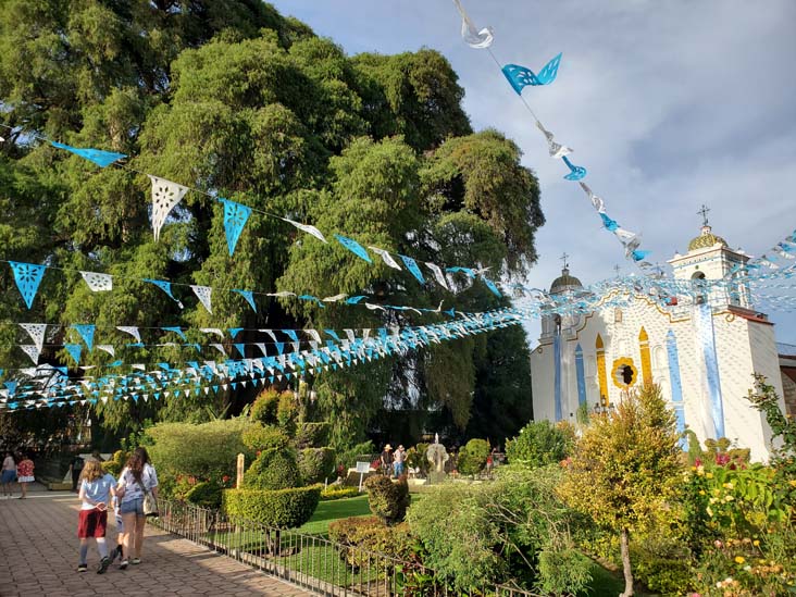 Árbol del Tule, El Templo de Santa María de la Asunción, Santa María del Tule, Oaxaca, México, August 20, 2023