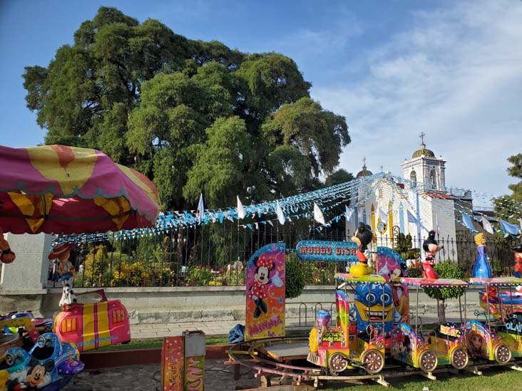 Árbol del Tule, Santa María del Tule, Oaxaca, México, August 20, 2023