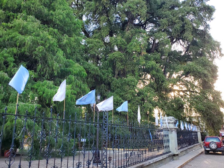 Árbol del Tule, Santa María del Tule, Oaxaca, México, August 20, 2023