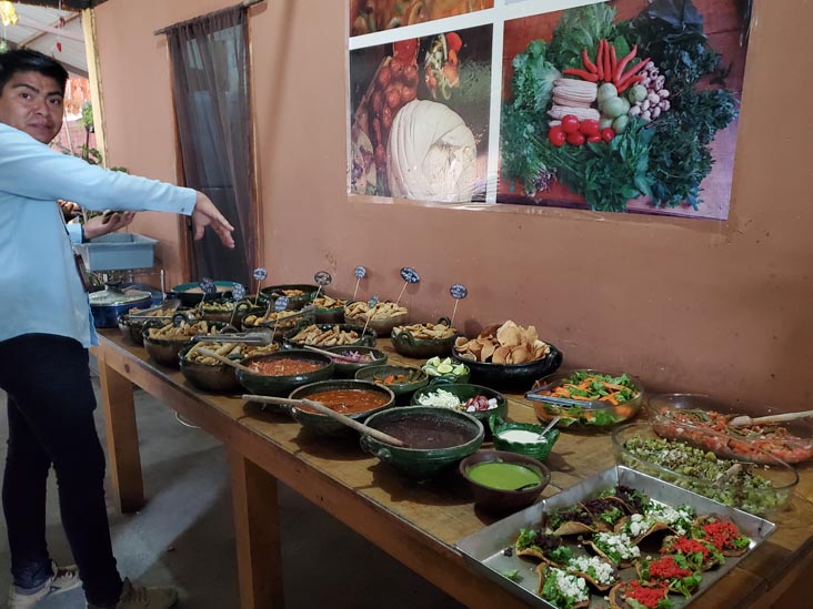 Casa Frida de Mi Corazón, Cuilápam de Guerrero, Oaxaca, México, August 22, 2023