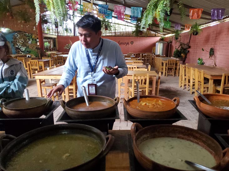 Casa Frida de Mi Corazón, Cuilápam de Guerrero, Oaxaca, México, August 22, 2023