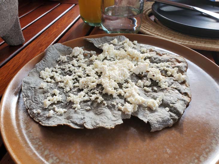 Casa Oaxaca El Restaurante, Calle de la Constituci&oacute;n 104-A, Oaxaca, M&eacute;xico, August 23, 2023