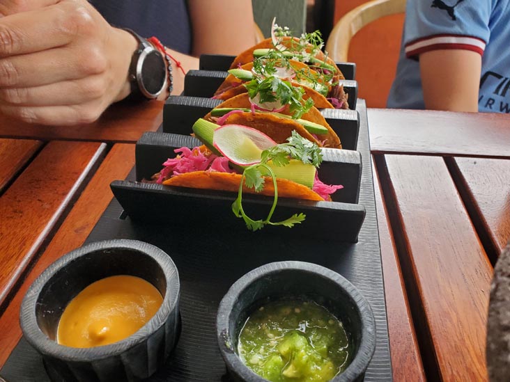 Tacos, Casa Oaxaca El Restaurante, Calle de la Constituci&oacute;n 104-A, Oaxaca, M&eacute;xico, August 23, 2023