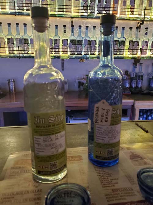 In Situ Mezcaler&iacute;a, Oaxaca, M&eacute;xico, August 14, 2023