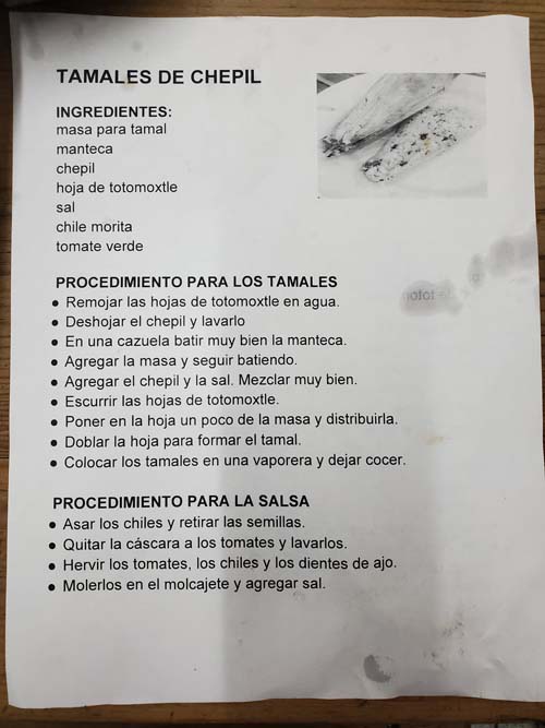 Tamales de Chepil Recipe, Instituto Cultural Oaxaca, Oaxaca, México, August 15, 2023