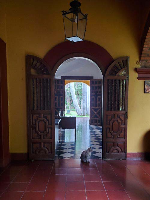 Instituto Cultural Oaxaca, Avenida Benito Ju&aacute;rez 909, Oaxaca, M&eacute;xico, August 16, 2023