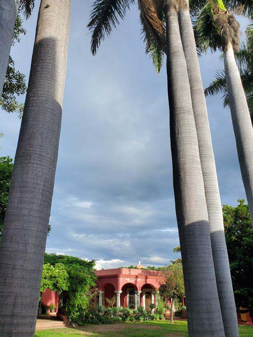 Instituto Cultural Oaxaca, Avenida Benito Ju&aacute;rez 909, Oaxaca, M&eacute;xico, August 16, 2023