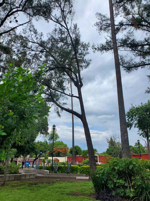 Jard&iacute;n Conzatti, Oaxaca, M&eacute;xico, August 16, 2023