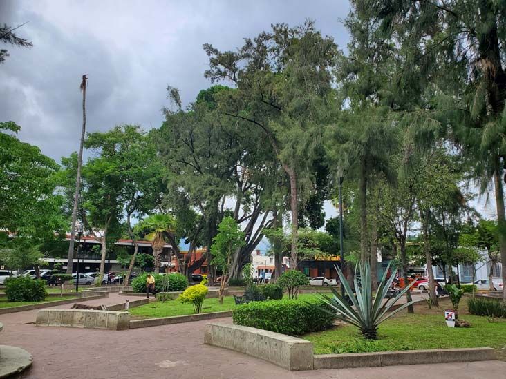 Jard&iacute;n Conzatti, Oaxaca, M&eacute;xico, August 16, 2023