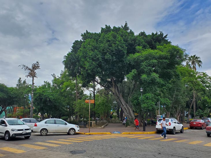 Jard&iacute;n Conzatti, Oaxaca, M&eacute;xico, August 16, 2023