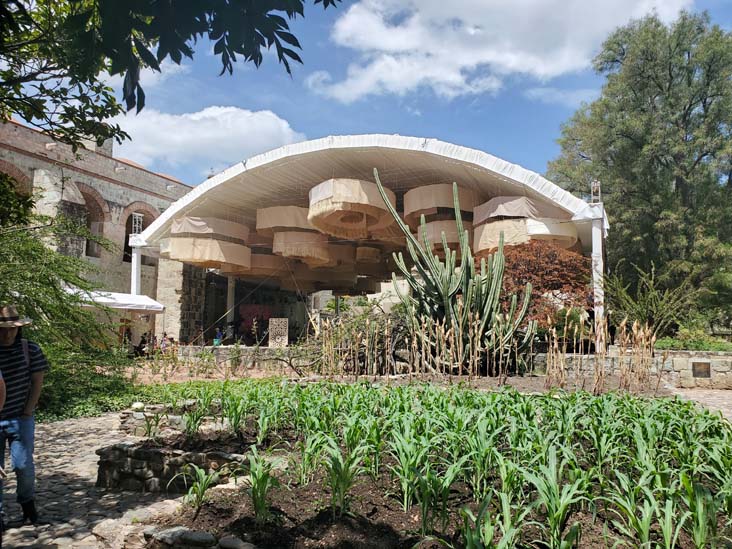 Jard&iacute;n Etnobot&aacute;nico de Oaxaca, Oaxaca, M&eacute;xico, August 19, 2023