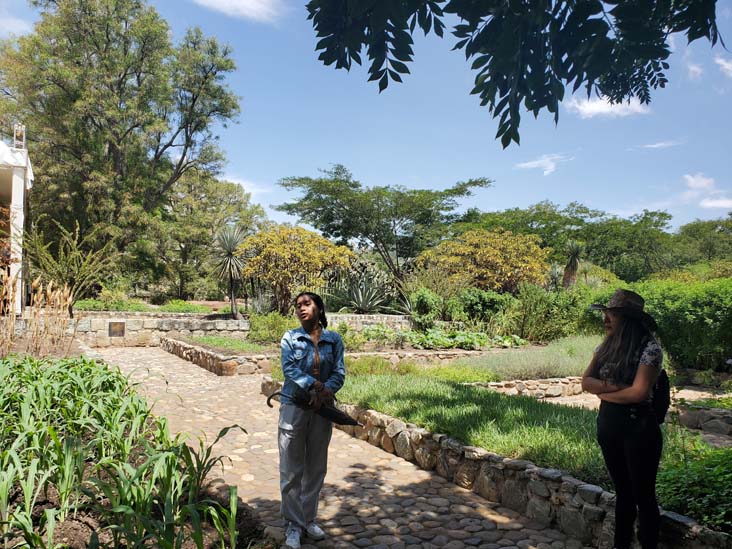 Jard&iacute;n Etnobot&aacute;nico de Oaxaca, Oaxaca, M&eacute;xico, August 19, 2023