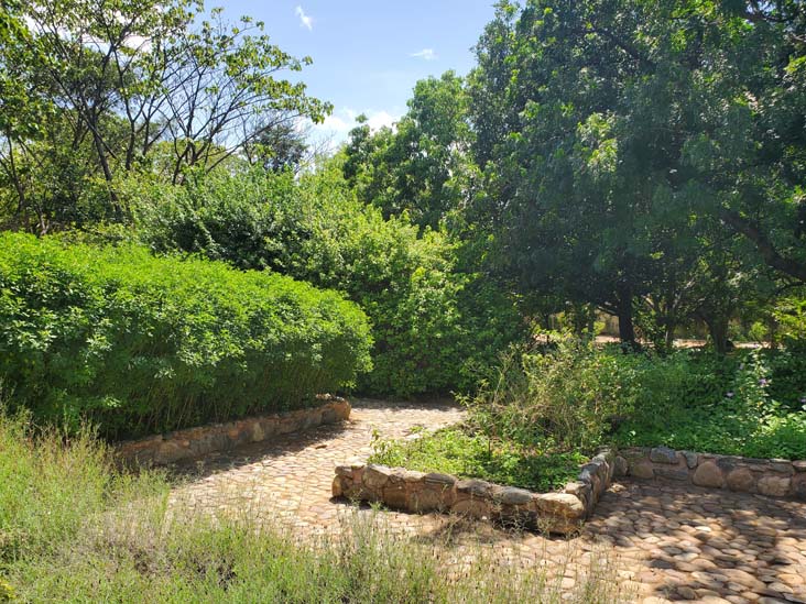 Jard&iacute;n Etnobot&aacute;nico de Oaxaca, Oaxaca, M&eacute;xico, August 19, 2023