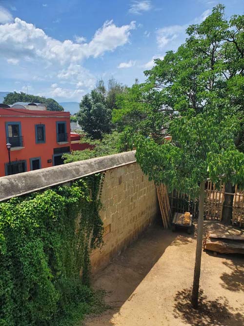 View From Invernadero/Greenhouse, Jard&iacute;n Etnobot&aacute;nico de Oaxaca, Oaxaca, M&eacute;xico, August 19, 2023