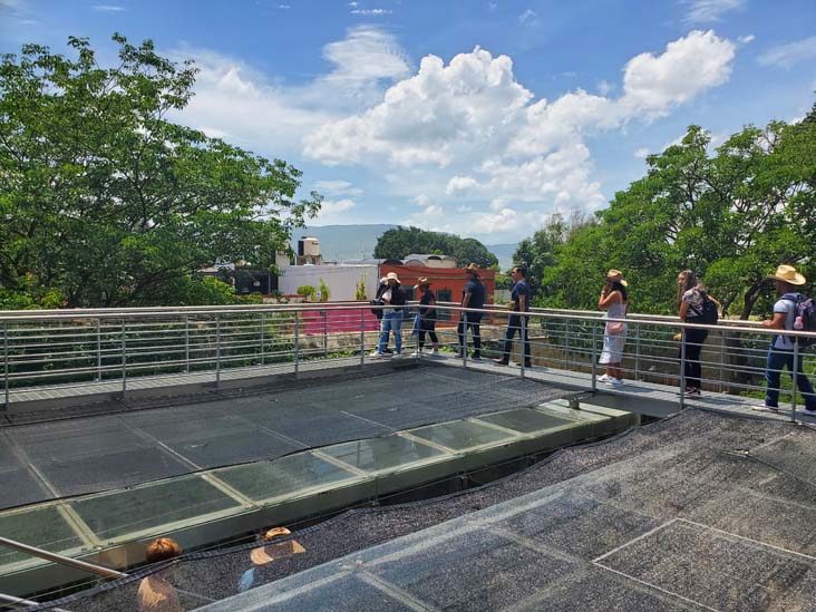 Invernadero/Greenhouse, Jard&iacute;n Etnobot&aacute;nico de Oaxaca, Oaxaca, M&eacute;xico, August 19, 2023