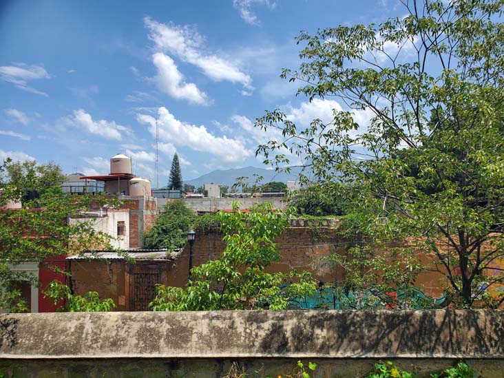 View From Invernadero/Greenhouse, Jard&iacute;n Etnobot&aacute;nico de Oaxaca, Oaxaca, M&eacute;xico, August 19, 2023