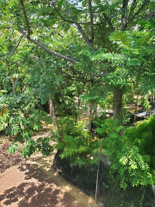 Jard&iacute;n Etnobot&aacute;nico de Oaxaca, Oaxaca, M&eacute;xico, August 19, 2023