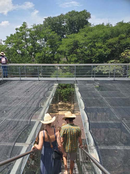Invernadero/Greenhouse, Jard&iacute;n Etnobot&aacute;nico de Oaxaca, Oaxaca, M&eacute;xico, August 19, 2023